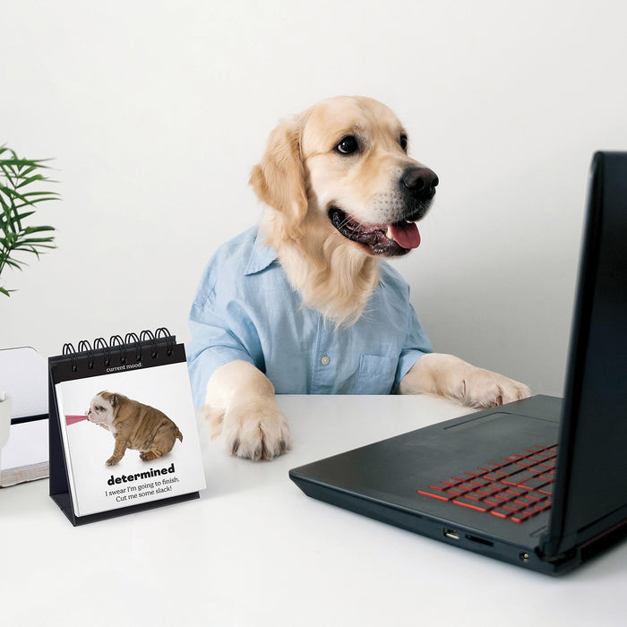 Daily Doggo - Desktop Flip Book