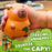 Boxer Gifts - Capybara Stress Toy - Don't Worry Be Cappy