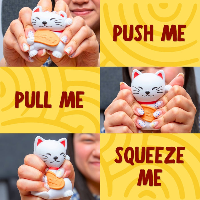 Boxer Gifts - Stress Toy - Lucky Cat