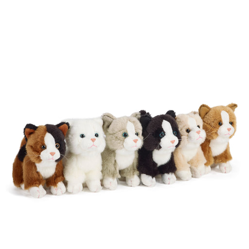 Living Nature - Cat (Small - Assorted)