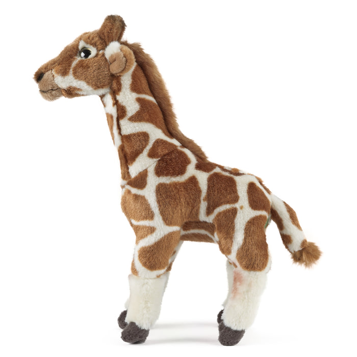 Living Nature - Giraffe (Medium)