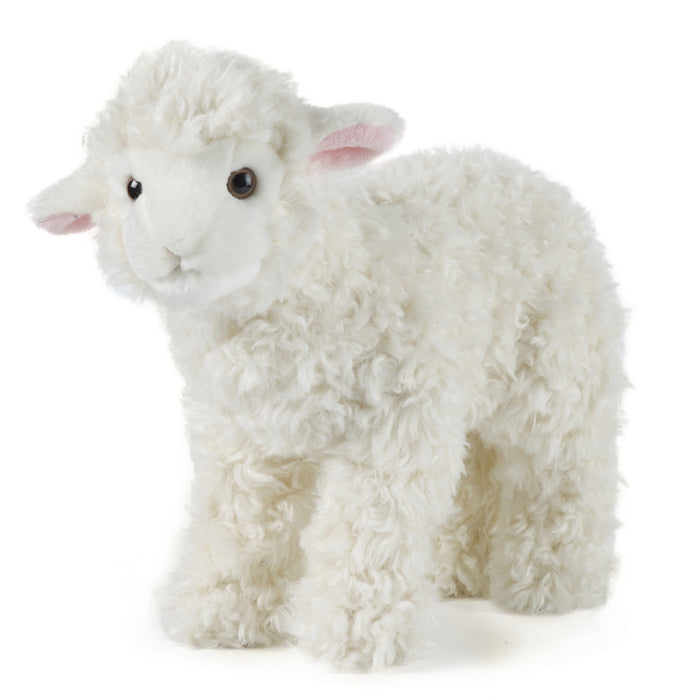 Living Nature - Lamb (Large) - COOKIE JAR