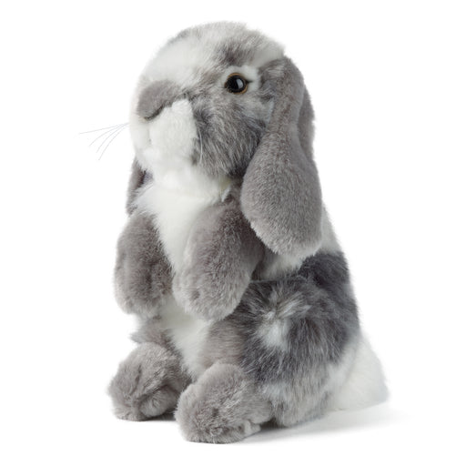 Living Nature - Grey Sitting Lop Eared Rabbit