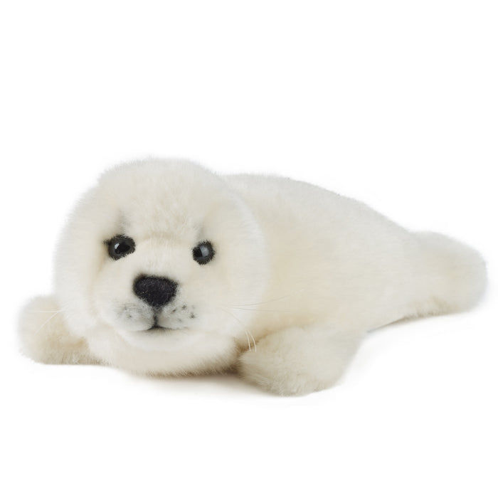 Living Nature - Grey Seal Pup