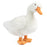 Living Nature - Duck (Large)