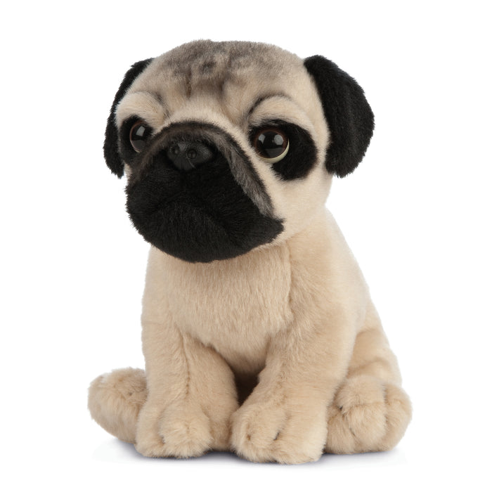 Living Nature - Pug Puppy