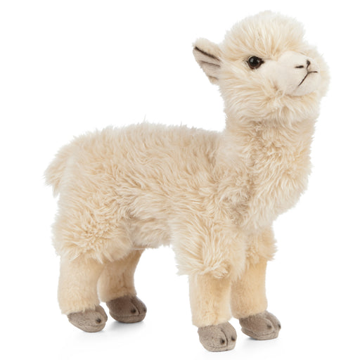 Living Nature - Alpaca - COOKIE JAR