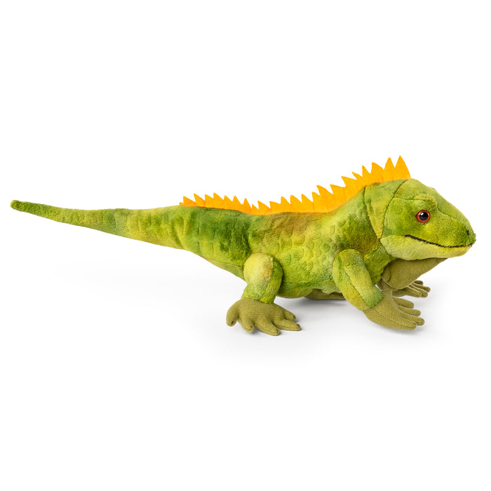 Living Nature - Iguana - COOKIE JAR