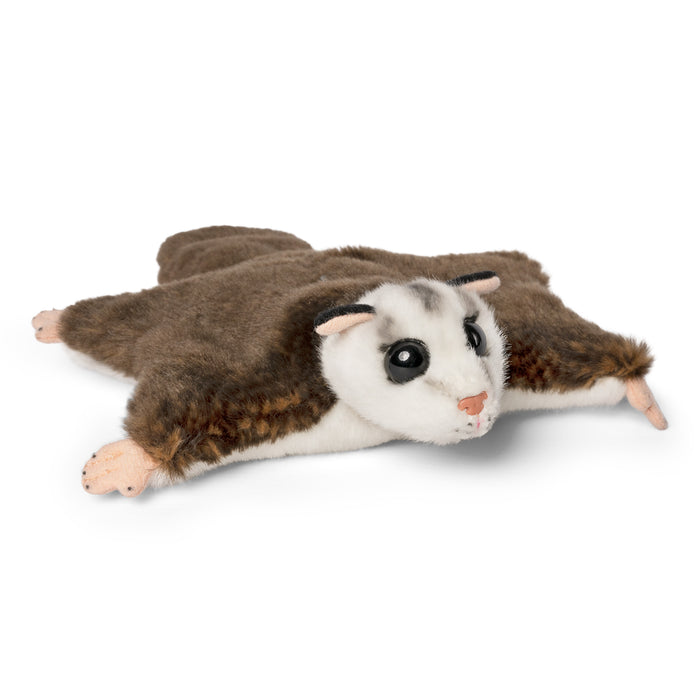 Living Nature - Sugar Glider - COOKIE JAR