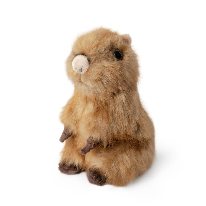 Living Nature - Sitting Capybara Pup