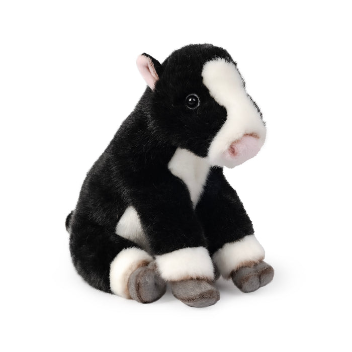 Living Nature - Sitting Friesian Calf - COOKIE JAR