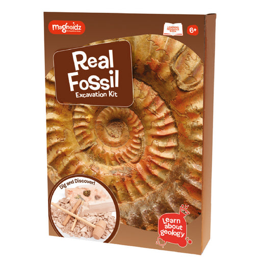 Keycraft - Fossil Dig Kit