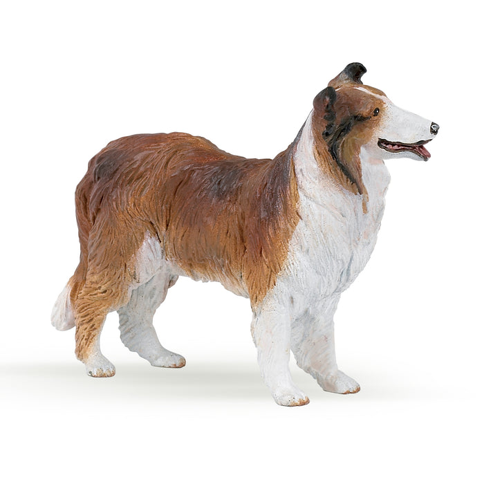 Papo - Collie Figurine