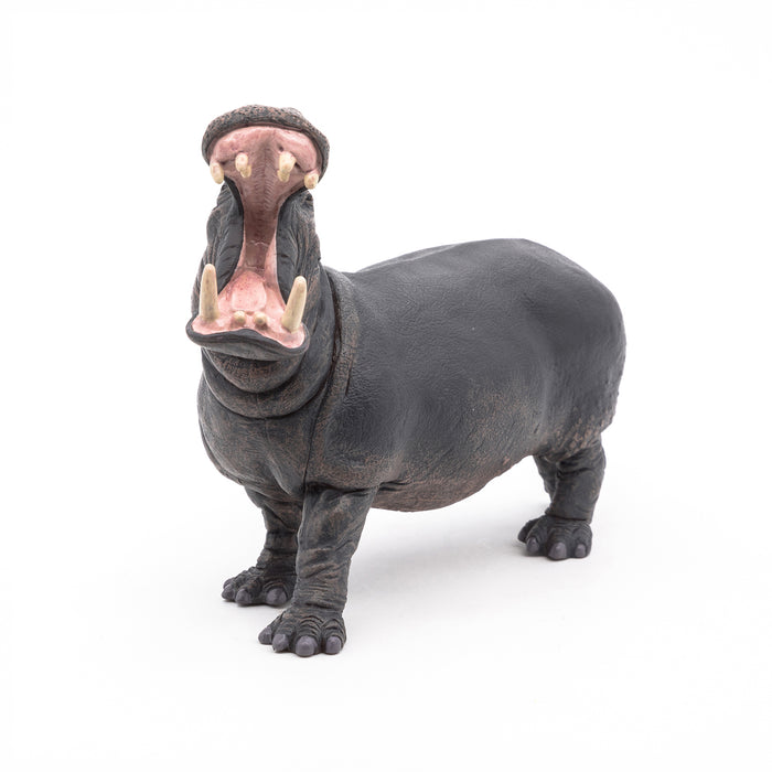 Papo - Hippopotamus  Figurine