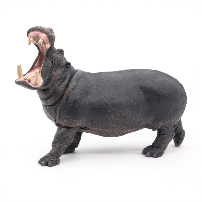 Papo - Hippopotamus  Figurine