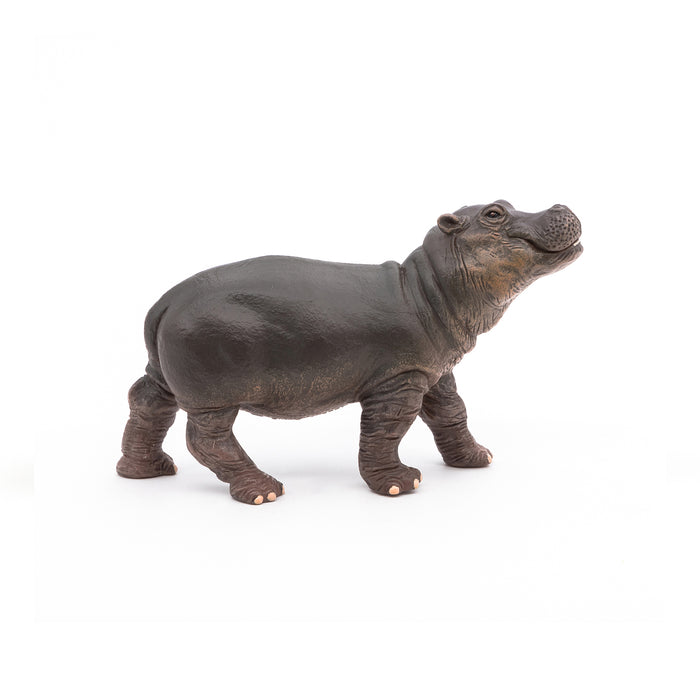 Papo - Hippopotamus calf Figurine