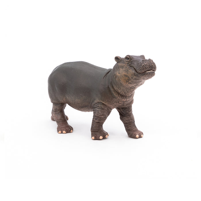 Papo - Hippopotamus calf Figurine