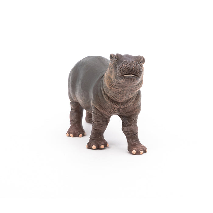 Papo - Hippopotamus calf Figurine