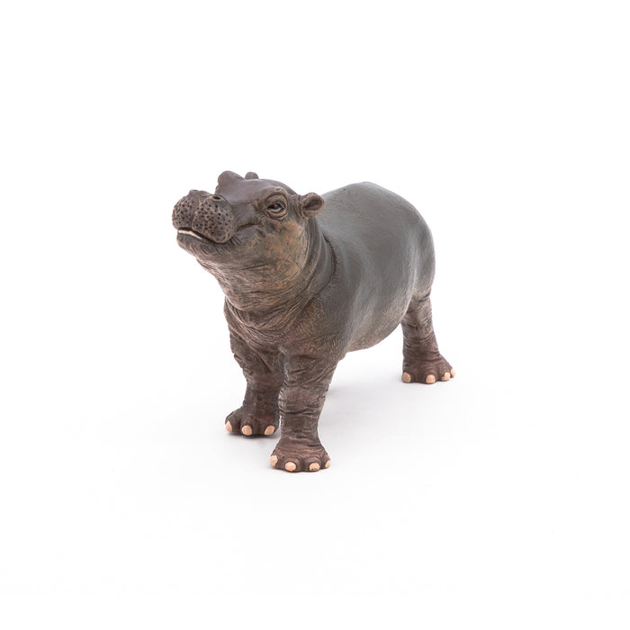 Papo - Hippopotamus calf Figurine