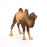 Papo - Bactrian camel Figurine