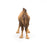 Papo - Bactrian camel Figurine