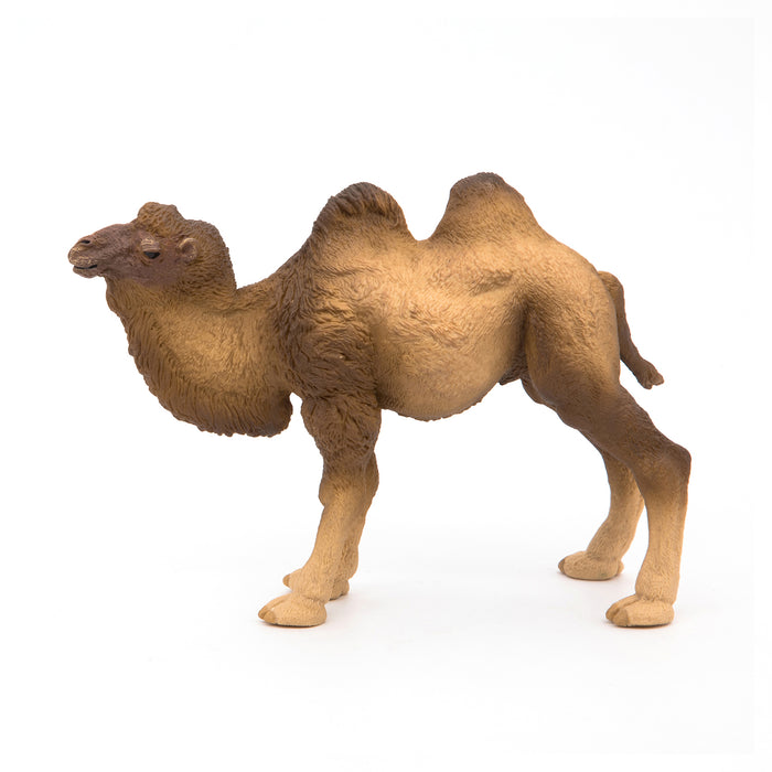 Papo - Bactrian camel Figurine