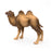 Papo - Bactrian camel Figurine