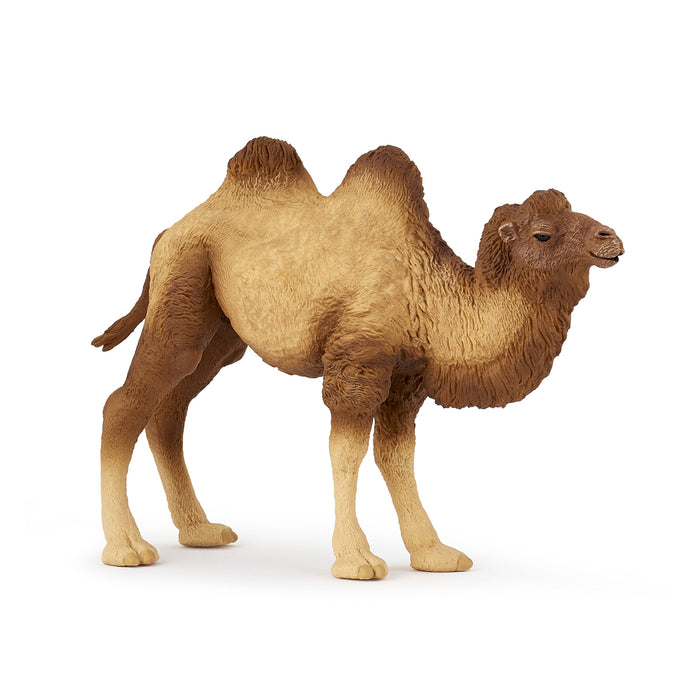 Papo - Bactrian camel Figurine