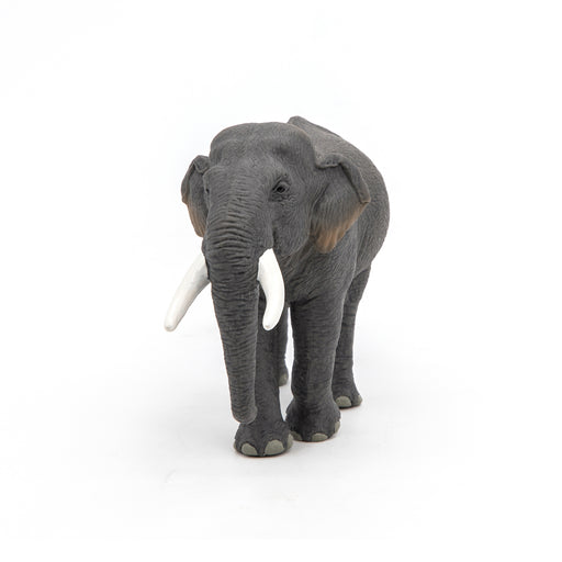 Papo - Asian elephant  Figurine