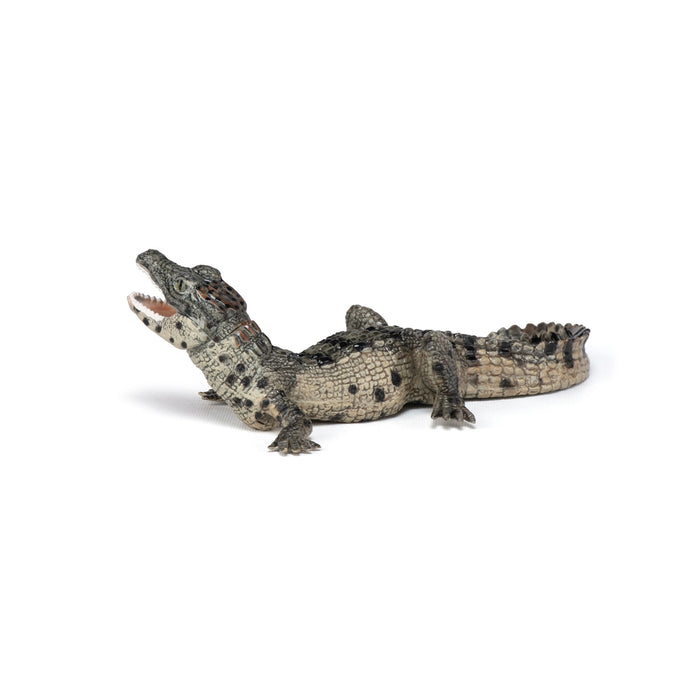 Papo - Baby crocodile Figurine