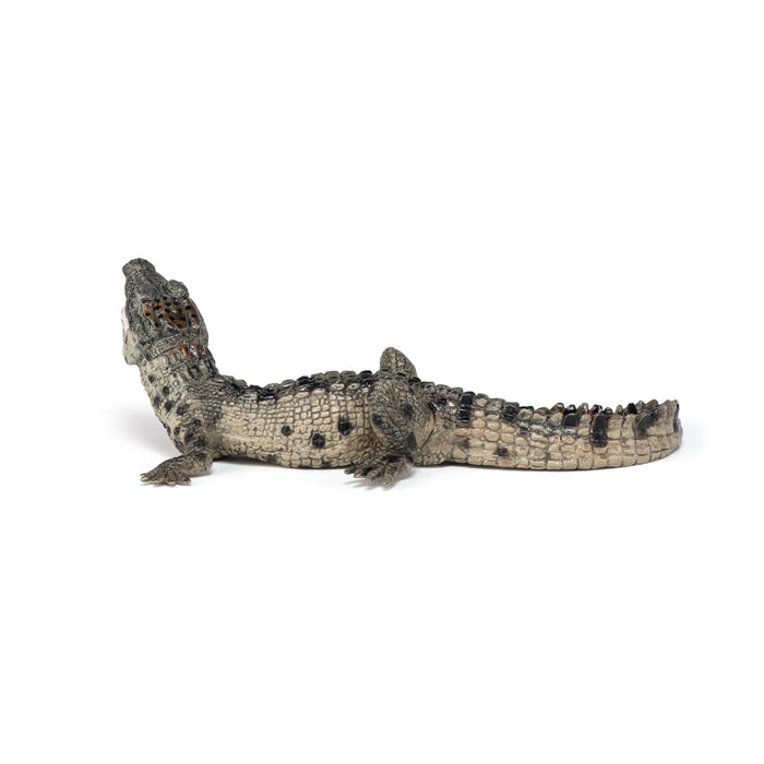 Papo - Baby crocodile Figurine