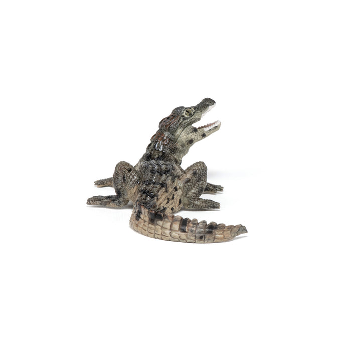 Papo - Baby crocodile Figurine