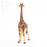 Papo - Giraffe male  Figurine