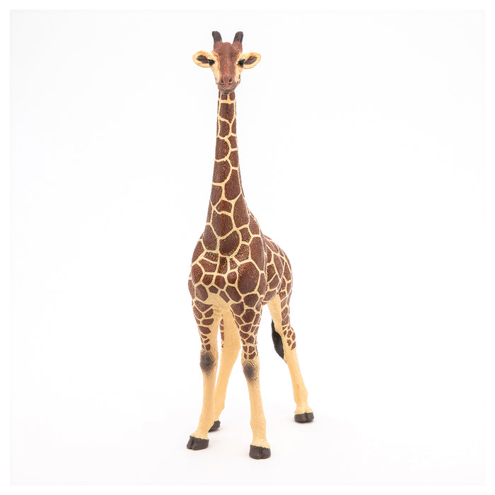 Papo - Giraffe male  Figurine