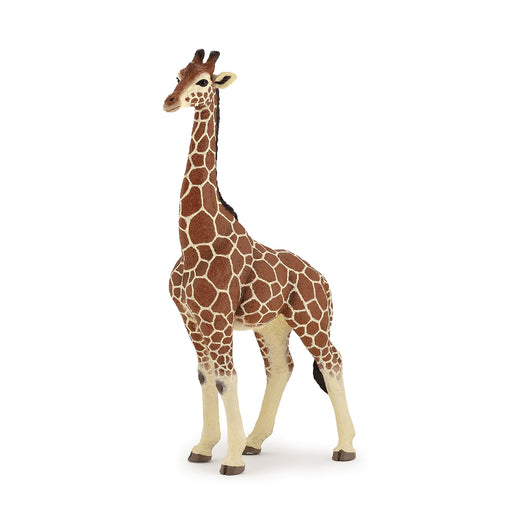 Papo - Giraffe male  Figurine