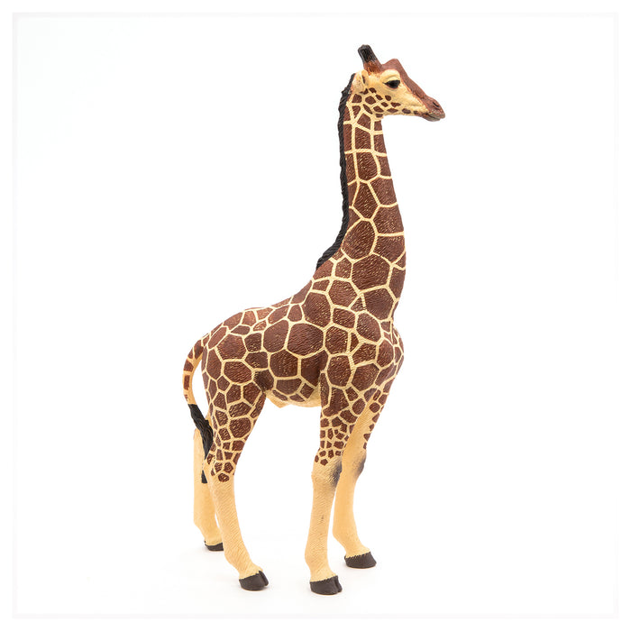 Papo - Giraffe male  Figurine