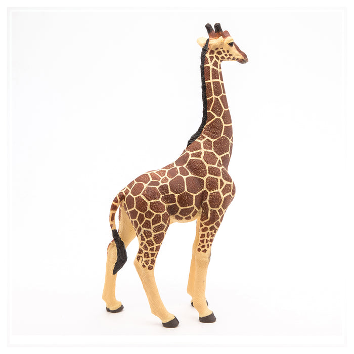 Papo - Giraffe male  Figurine