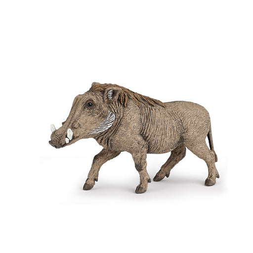 Papo - Warthog Figurine