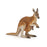 Papo - Kangaroo with joey Figurine