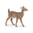 Papo - White-tailed doe Figurine