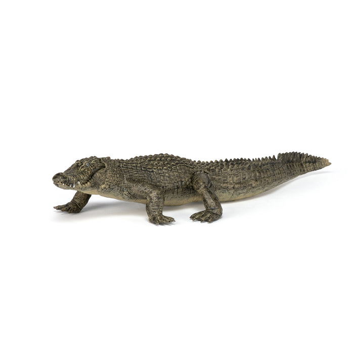 Papo - Alligator Figurine