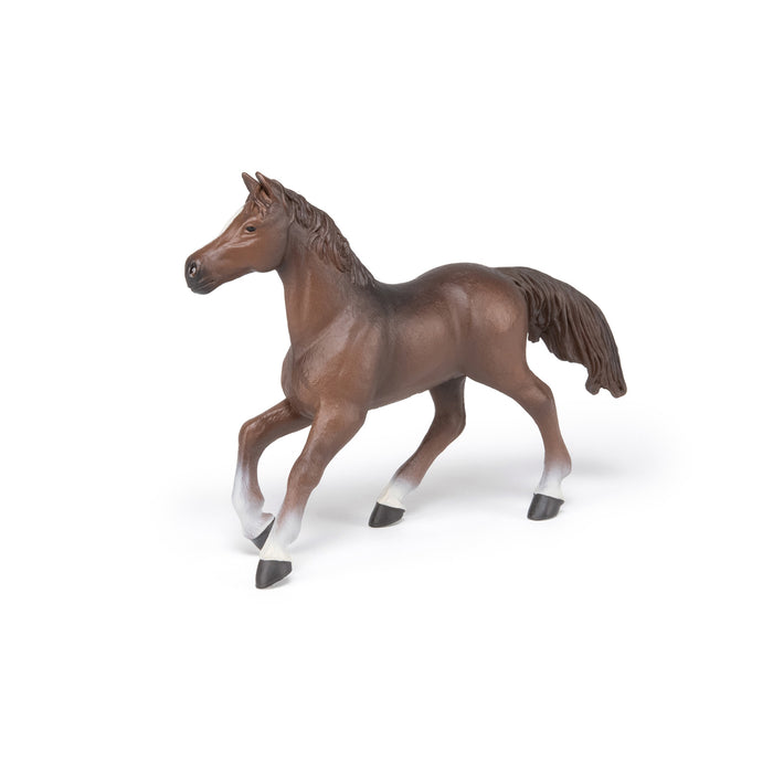 Papo - Anglo-Arab mare Figurine