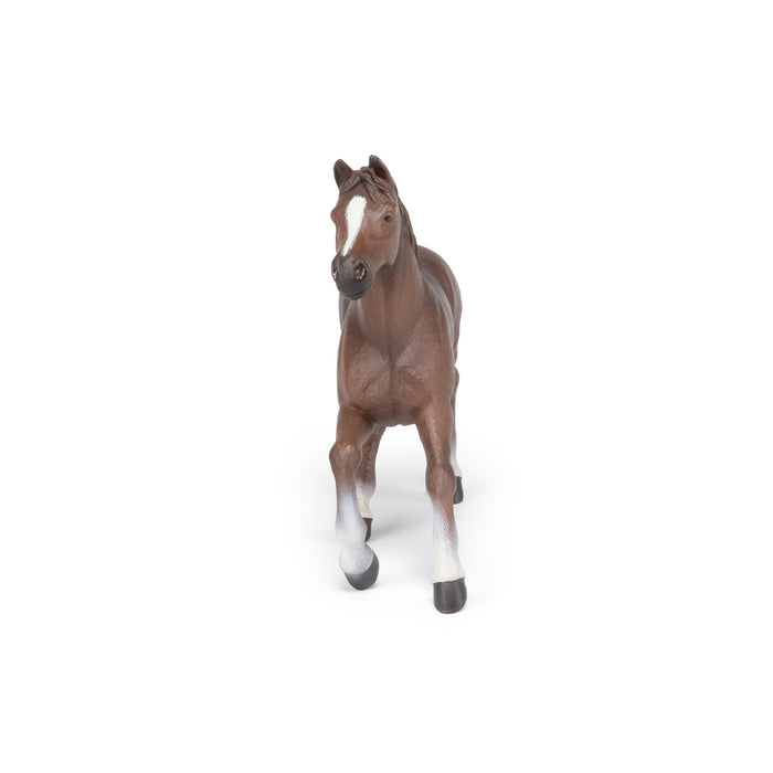 Papo - Anglo-Arab mare Figurine