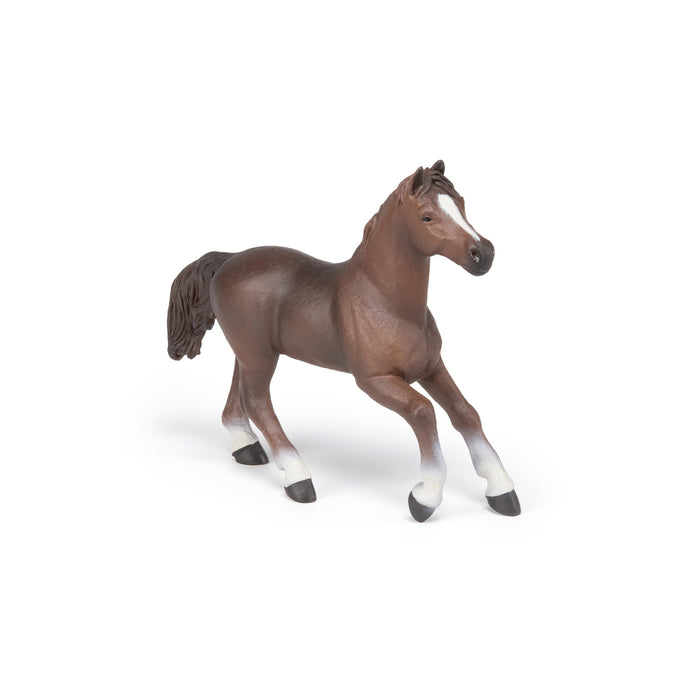 Papo - Anglo-Arab mare Figurine