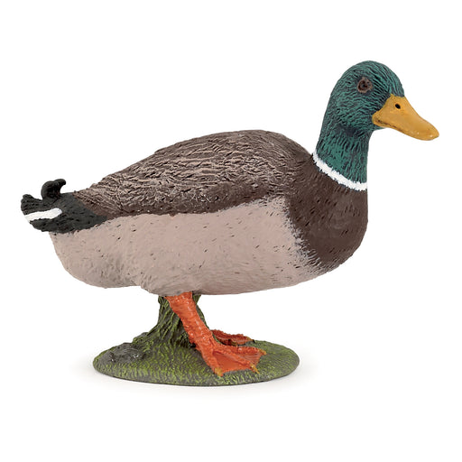 Papo - Mallard duck Figurine
