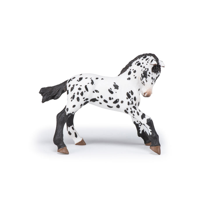 Papo - Black appaloosa foal Figurine