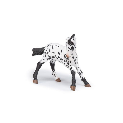 Papo - Black appaloosa foal Figurine
