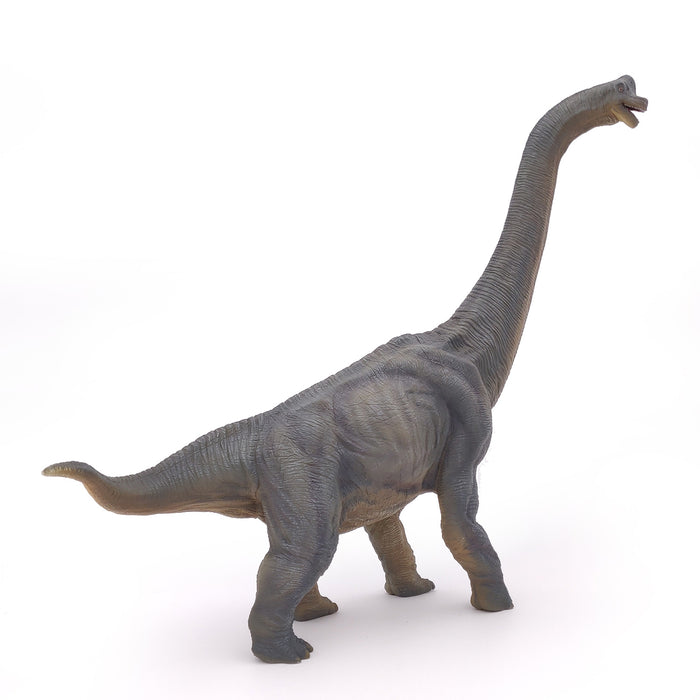 Papo - Brachiosaurus Figurine