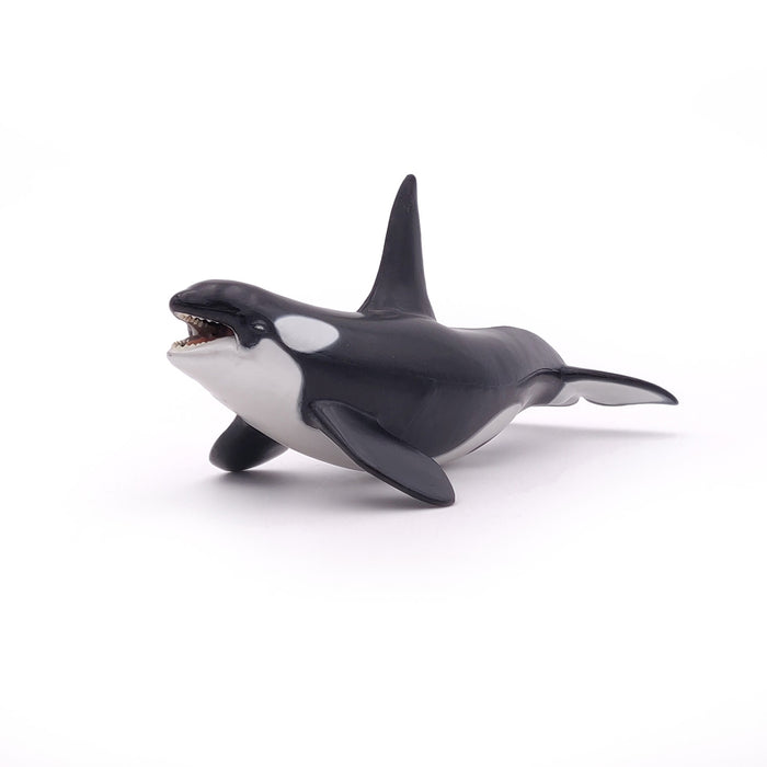 Papo - Killer whale Figurine