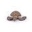 Papo - Loggerhead turtle Figurine